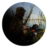 DAROUND 312 Gone Hunting (Duck with Dog)